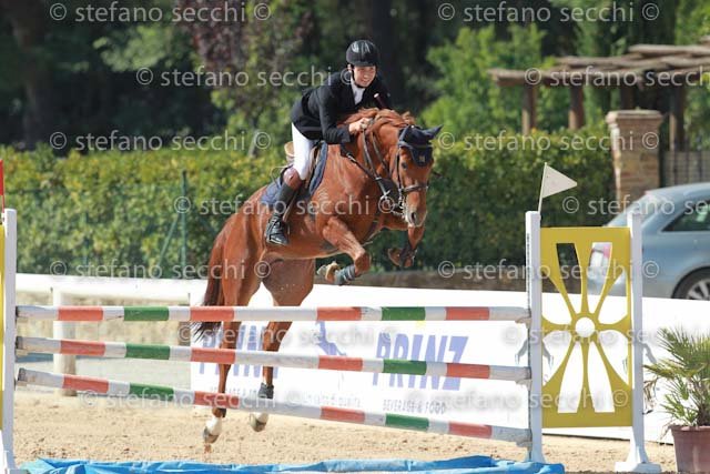 MATTEUCCI_IPPIA_GIO CAV 2011_SS3_7032.jpg